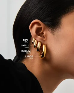 Chubby Small Hoop Earrings